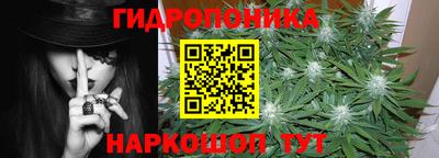 индика Пенза