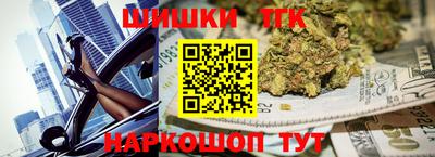 индика Пенза