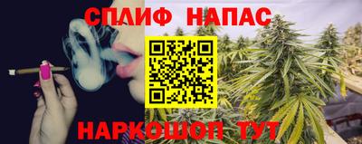 индика Пенза